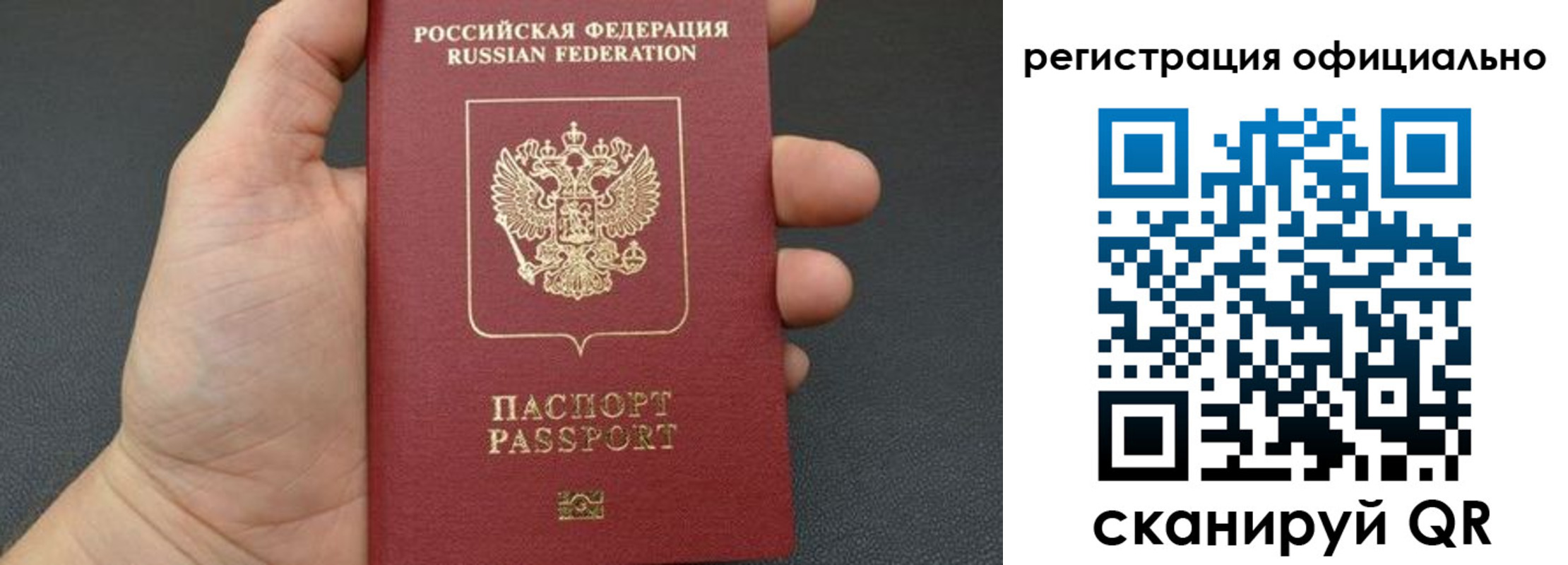 прописка в Светлогорске